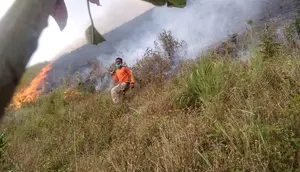 Kemendagri Dalami Celah Aturan Buka Lahan Dibakar