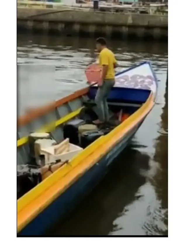 Viral Seekor Buaya 'Antar' Jasad Balita di Sungai Mahakam, Ini Kronologisnya