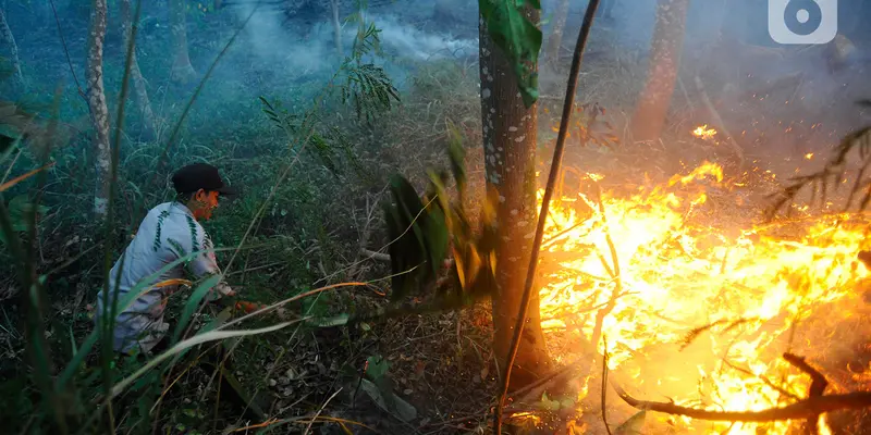 Kebakaran di Lahan Hutan Kota