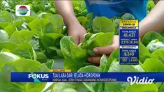Peluang bisnis pada saat Pandemi Covid-19, yaitu bisnis tanaman hidroponik cukup menggiurkan lantaran keuntungan yang didapatkan lebih besar dibanding menjalankan pertanian konvensional atau menanam di tanah terbuka.