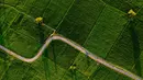 Foto udara pemandangan sawah saat matahari terbit di Samahani, Provinsi Aceh, Jumat, 24 Juli 2026. (AFP/ Chaideer Mahyuddin)