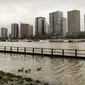 Bebek terlihat di tepi sungai Seine yang banjir di dekat menara Eiffel dan distrik Beaugrenelle, Paris (23/1). Tingkat sungai Seine naik ke ketinggian 4.57 meter (15 kaki), beberapa meter lebih tinggi dari tingkat normalnya. (AFP Photo/Ludovic Marin)