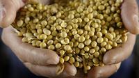 Kacang kedelai juga bisa digunakan untuk menghilangkan komedo. Caranya dengan menjadikan kedelai tersebut sebagai jus, lalu usapkan pada wajah, diamkan beberapa menit kemudian bilas dengan air bersih. (Scott Olson/Getty Images/AFP)