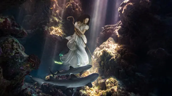 Foto: copyright buzzfeed.com