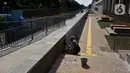 Pekerja menyelesaikan pembangunan ruang terbuka hijau dalam program naturalisasi di Kanal Banjir Barat (KBB) Shangrilla-Karet, Jakarta, Jumat (21/2/2020). Pembangunan prasarana kali/sungai dan kelengkapannya di KBB segmen Karet-Sudirman ini menelan anggaran Rp 12,7 miliar. (Liputan6.com/Johan Tallo)