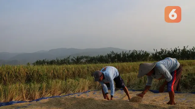 Petani di Desa Dakaino