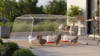 8 Ide Kandang Ternak Ayam Petelur Mini di Teras Belakang, IRT Bisa Panen Telur Setiap Hari