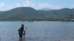 Langkah Pemprov NTB Bangun Ekosistem Perdagangan Karbon Berkelanjutan