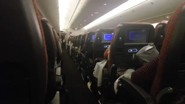 Japan Airlines
