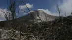 Kondisi sebuah perkebunan akibat luncuran awan panas Gunung Sinabung pada April 2015 di Desa Sibintun, Karo, Sumatera Utara, Minggu (5/7). Akibat letusan Sinabung, desa tersebut sudah tak lagi berbentuk. (Liputan6.com/Johan Tallo)