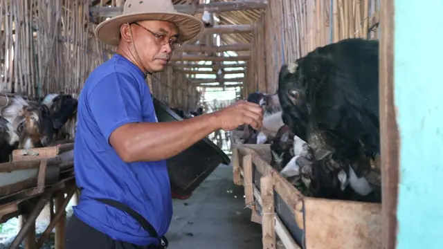 Salon Kambing