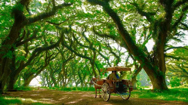 Kawasan Destinasi wisata Djawatan Banyuwangi (Istimewa)