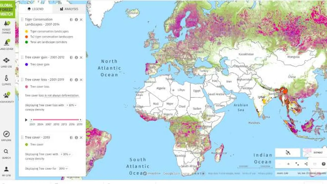 Global Forest Watch. Dok: Google