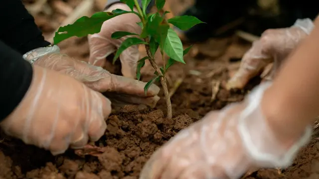 Konservasi Gunung Pangrango