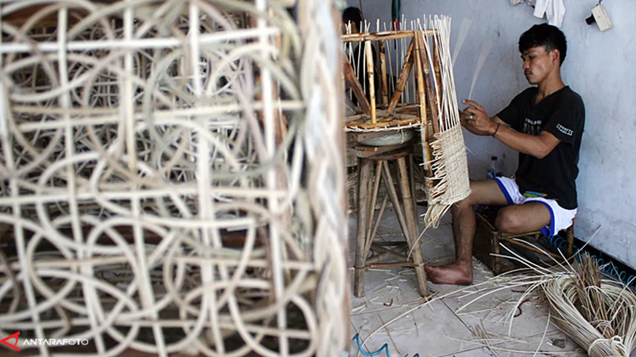 rotan-1-131118b.jpg