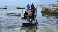 Perjuangan Penyaluran Hewan Kurban Dompet Dhuafa di Pulau Terpencil