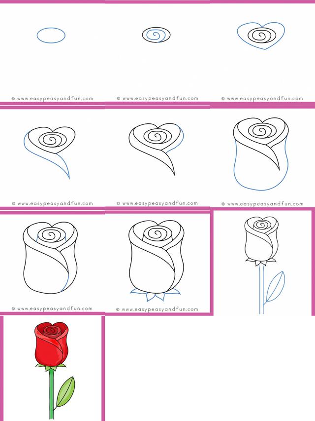 Cara menggambar bunga mawar
