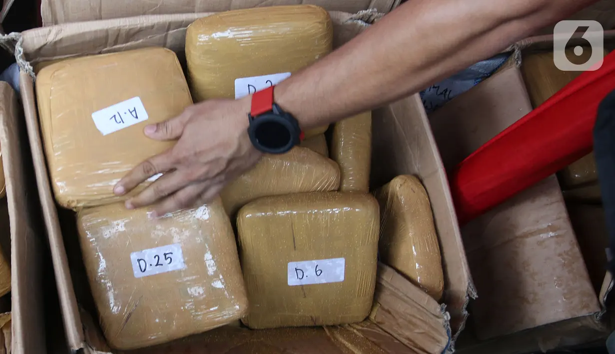 Petugas menata barang bukti dalam rilis akhir tahun di Balai Polda Metro Jaya, Jumat (27/12/2019). Selain para tersangka, polisi juga menampilkan barang bukti ganja dengan total mencapai 1 ton yang diamankan dari setiap polres dan wilayah hukum Polda Metro Jaya. (Liputan6.com/Herman Zakharia)