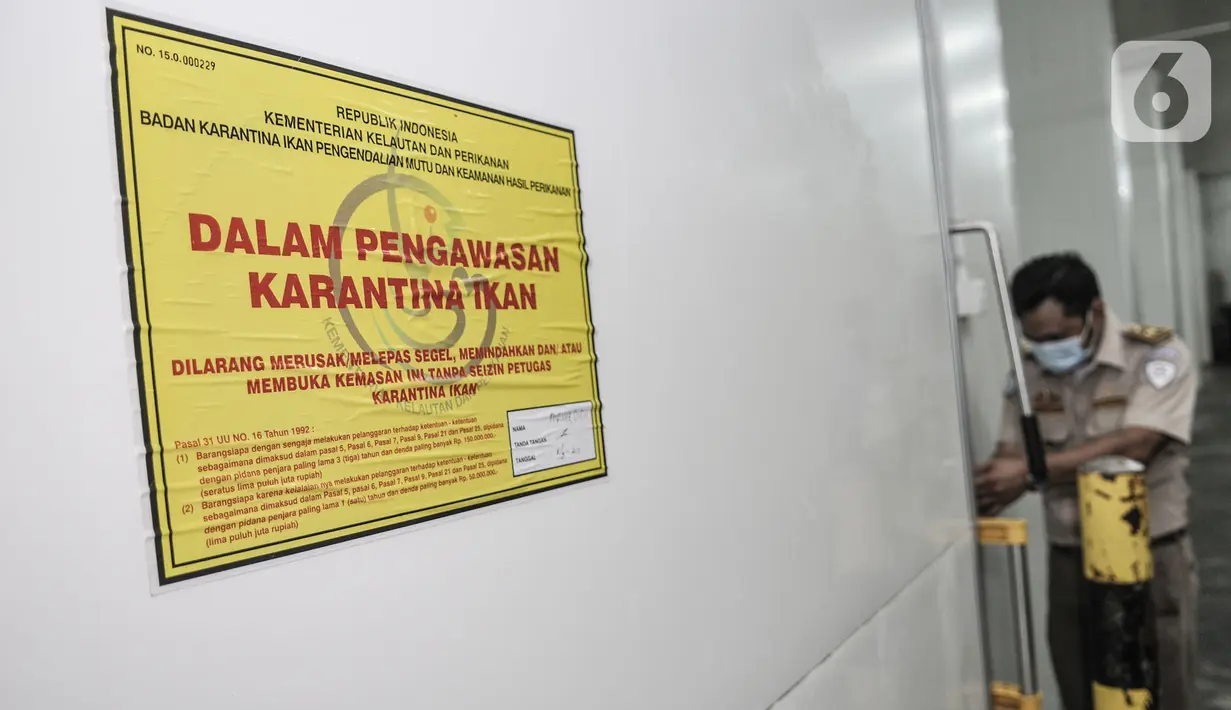 Stiker barang sitaan dipasang pada kontainer yang digunakan untuk menyelundupkan ikan patin fillet ilegal di pangkalan PSDKP, Jakarta, Senin (10/8/2020). Kementerian Kelautan dan Perikanan bersama Polri mengagalkan penyelundupan 54,9 ton ikan patin fillet illegal. (merdeka.com/Iqbal Nugroho)