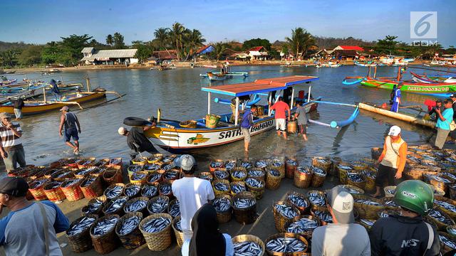 Hiruk-pikuk Aktivitas Nelayan di TPI Palangpang Ciletuh
