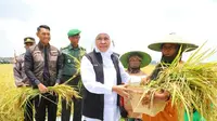 Jawa Timur Sumbang 25% Lahan Tanam Padi Nasional, Gubernur Khofifah: Komitmen Pemprov Wujudkan Kedaulatan Pangan