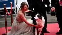 Messi, bintang anjing dari film 'Anatomie d'une Chute' (Anatomy of a Fall) dan pelatih anjing Perancisnya Laura Martin tiba untuk Upacara Pembukaan dan pemutaran film "Le Deuxieme Acte" pada edisi ke-77 dari film tersebut. Festival Film Cannes di Cannes, Prancis selatan, pada 14 Mei 2024. (Dok: LOIC VENANCE / AFP)