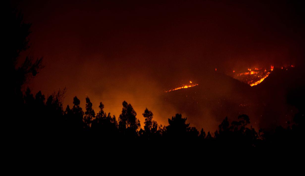 Kobaran api melahap hutan di wilayah Santiago, Chile (20/1). Kebakaran hutan yang terjadi dalam sepekan terakhir telah menghanguskan lahan seluas 155 kilometer persegi. (AFP Photo/Martin Bernetti)