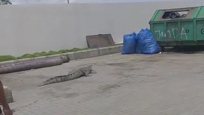 Sebuah video memperliahtkan buaya ebrkeliaran di area parkiran mal. (Sumber: Instagram/@ndorobeii)