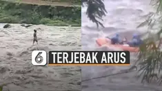 Ia terjebak di tengah sungai dan bertahan di atas batu.