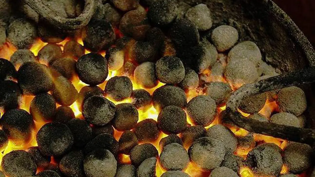 Arang Kotoran Manusia