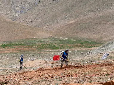 Foto yang diambil pada tanggal 13 Mei 2024 memperlihatkan para penjinak ranjau Afghanistan dari Halo Trust membersihkan ranjau anti-tank di desa Qala Khail, provinsi Ghazni. (Wakil KOHSAR/AFP)