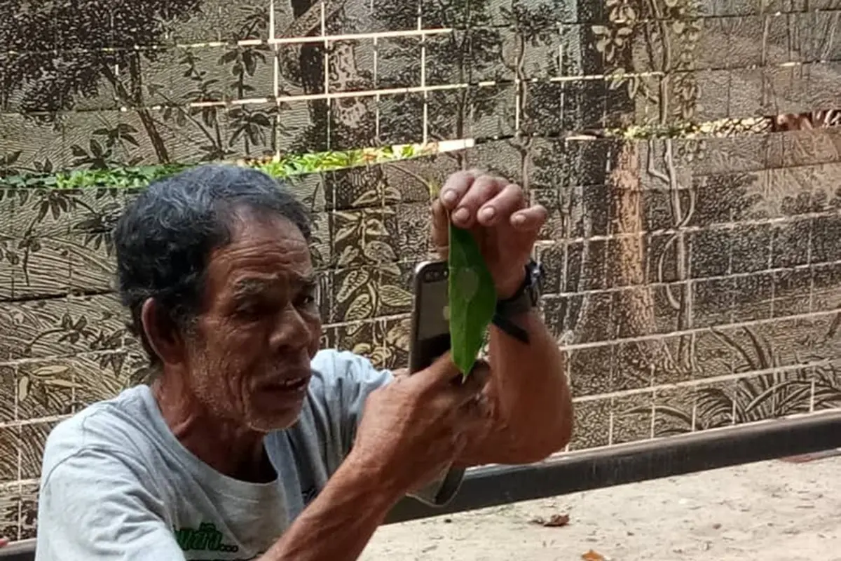 Kakek tukang sapu