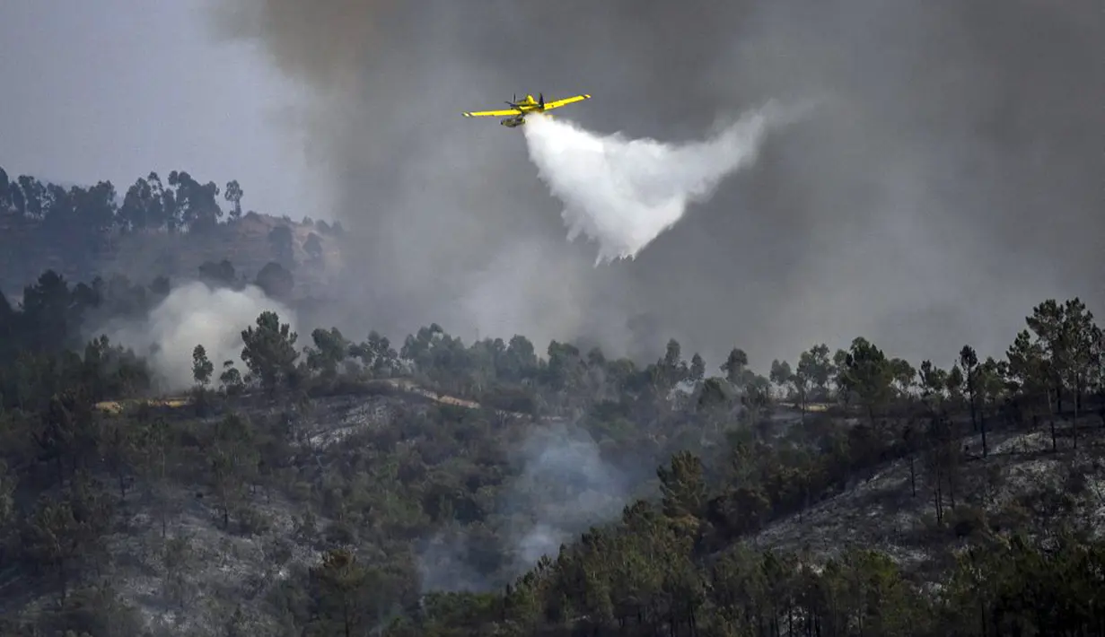 Sebuah pesawat pemadam kebakaran menjatuhkan air di atas api di Odeceixe, selatan Portugal, Selasa (8/8/2023). Ratusan petugas pemadam kebakaran berusaha memadamkan api yang berkobar di Portugal selatan yang telah menghanguskan ribuan hektare lahan dan menyebabkan sekitar 1.400 orang dievakuasi untuk berjaga-jaga. (Patricia DE MELO MOREIRA/AFP)