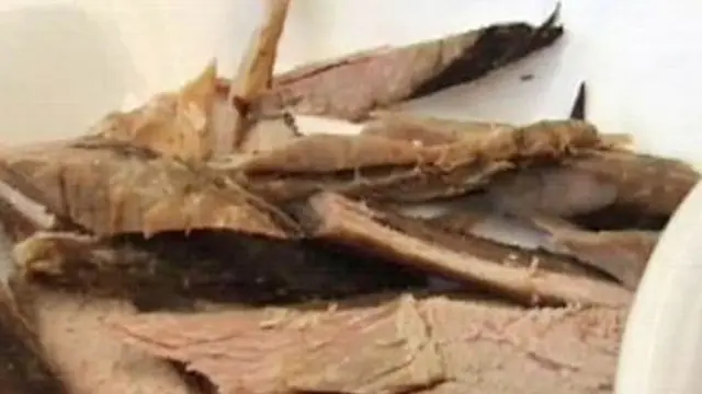 Tumis Ikan Kayu, Sajian Nikmat Khas Aceh