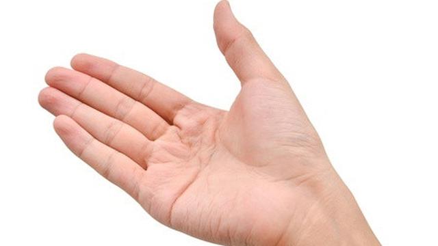 Ilustrasi Telapak Tangan