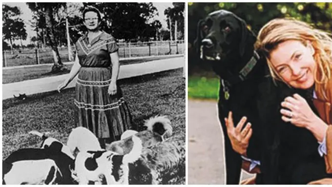 Foto : copyright toptenz.net