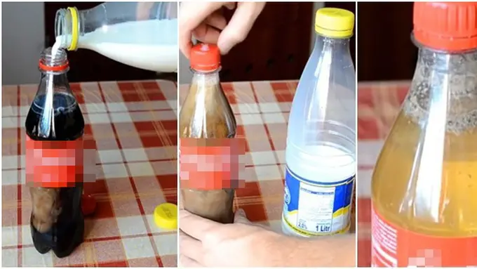 Photo copyright Distractify.com