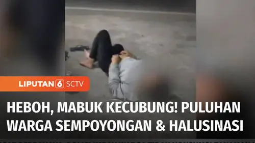 VIDEO: Fenomena Mabuk Kecubung di Banjarmasin, Puluhan Warga Masuk RSJ, Dua Orang Tewas