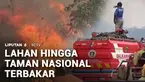 Sudah sekitar empat bulan, Kalimantan dan Sumatra masih merah. Kebakaran hutan dan lahan mencapai 21 ribu hektare per pekan lalu. Menurut Badan Nasional Penanggulangan Bencana, korban berjatuhan mencari nafkah juga tak seperti dulu lagi.