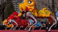 Sebuah robot berkaki empat yang dilengkapi dengan kepala singa melakukan pertunjukan selama hari kedua perayaan Tahun Baru Imlek 2577 Kongzili di sebuah pekan raya kuil di Beijing pada Rabu 18 Februari 2026. Sejumlah robot kembali beratraksi memeriahkan hari kedua perayaan Tahun Baru Imlek 2577 Kongzili di sebuah pameran kuil (temple fair) di Beijing, China. (AP Photo/Vincent Thian)