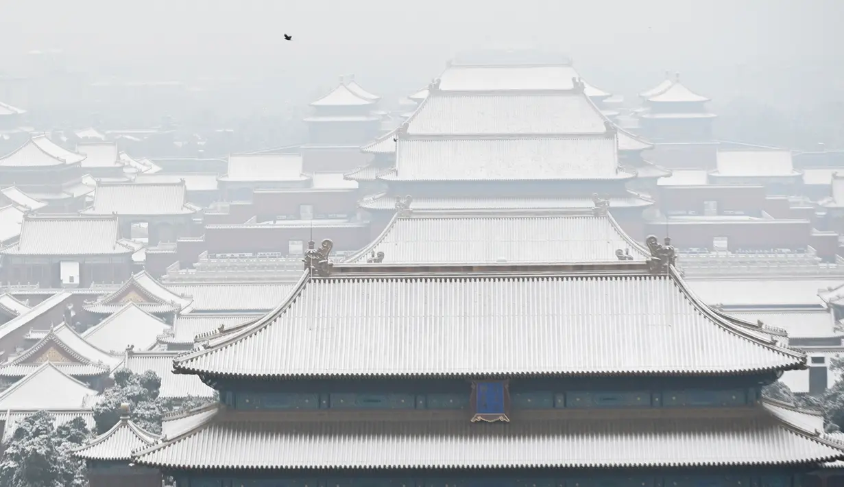 Seekor burung terbang di atas Kota Terlarang setelah salju turun di Beijing (30/11/2019). Beijing mengalami hujan salju pertama di seluruh kota sejak awal musim dingin dari 29 hingga 30 November 2019. (AFP Photo/Wang Zhao)