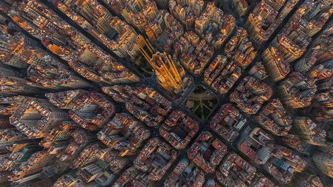 14 Foto yang Sanggup Bikin Kamu Merasa Seperti Burung