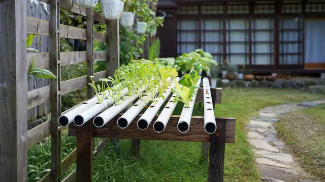 Ide Kebun Produktif ala Rumah Jepang di Desa (AI)