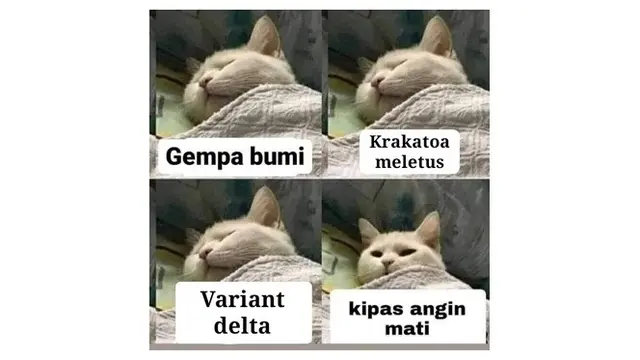 7 Meme Cara Bangun Mendadak dari Tidur, Bikin Ikut Mengangguk