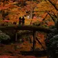 Wisatawan memotret warna-warni dedaunan saat musim gugur di Taman Rikugien, Distrik Bunkyo, Tokyo, Jepang, Selasa (10/12/2019). Musim gugur di Tokyo jatuh bulan November hingga pertengahan Desember. (AP Photo/Jae C. Hong)