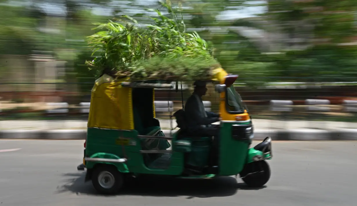 <p>Pengemudi bajaj Mahender Kumar mengendarai kendaraan dengan 'taman' di atapnya, di New Delhi, India pada 2 Mei 2022. Bajaj kuning dan hijau ada di mana-mana di jalan-jalan New Delhi tetapi kendaraan Mahendra Kumar sangat menonjol -- ia memiliki taman di atapnya bertujuan untuk menjaga penumpang tetap sejuk selama musim panas yang menyengat. (Money SHARMA / AFP)</p>