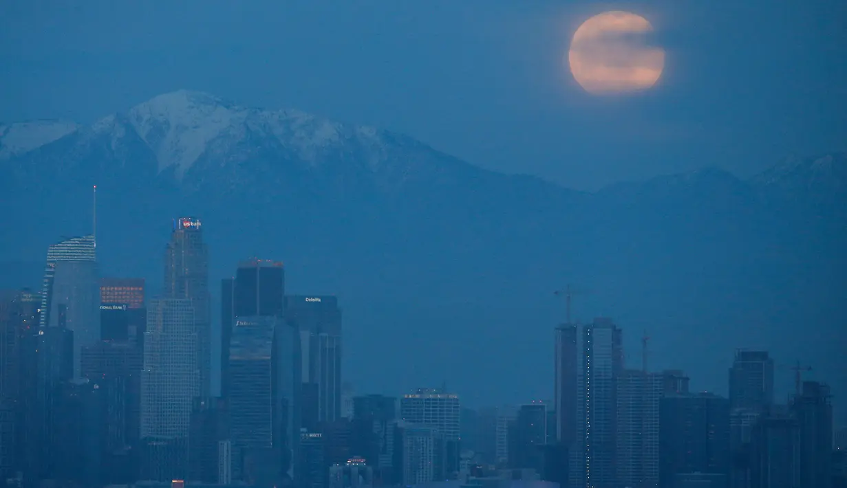 Fenomena supermoon dengan latar belakang pusat kota Los Angeles terlihat dari Kenneth Hahn Park, Minggu (20/1). Supermoon terlihat dari sejumlah wilayah Amerika Utara dan Selatan, Eropa, dan Afrika Barat. (AP/Ringo H.W. Chiu)