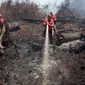 Kebakaran lahan gambut di Riau yang sempat memicu bencana kabut asap beberapa tahun lalu. (Liputan6.com/M Syukur)