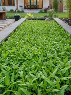 Ilustrasi Tanaman Air/Gemini AI