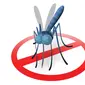  Penyakit yang ditularkan nyamuk ini dapat ditularkan melalui gigitan nyamuk Anopheles betina yang terinfeksi. 